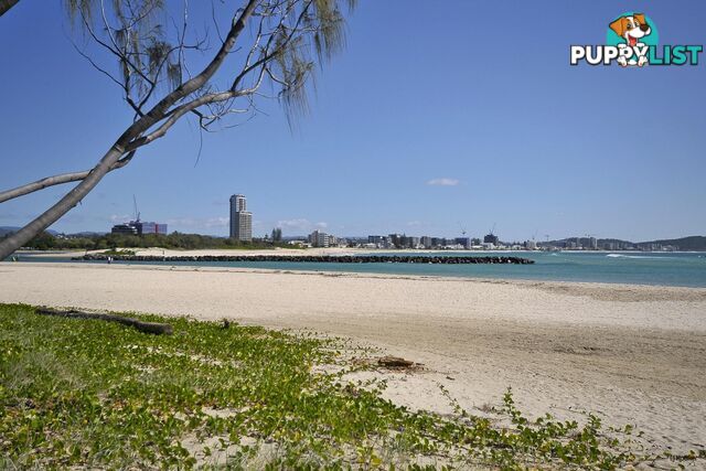 42/38-42 Duringan Street CURRUMBIN QLD 4223