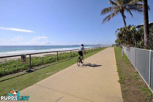 42/38-42 Duringan Street CURRUMBIN QLD 4223