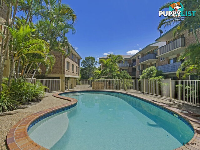 8/1 Rolan Court PALM BEACH QLD 4221