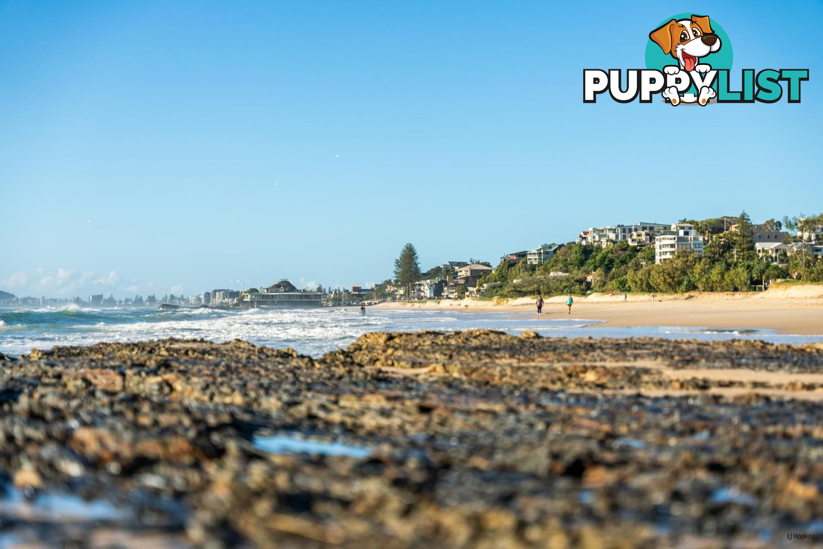 3/792-794 Pacific Parade CURRUMBIN QLD 4223