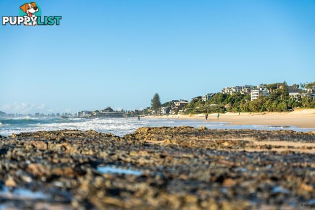 3/792-794 Pacific Parade CURRUMBIN QLD 4223