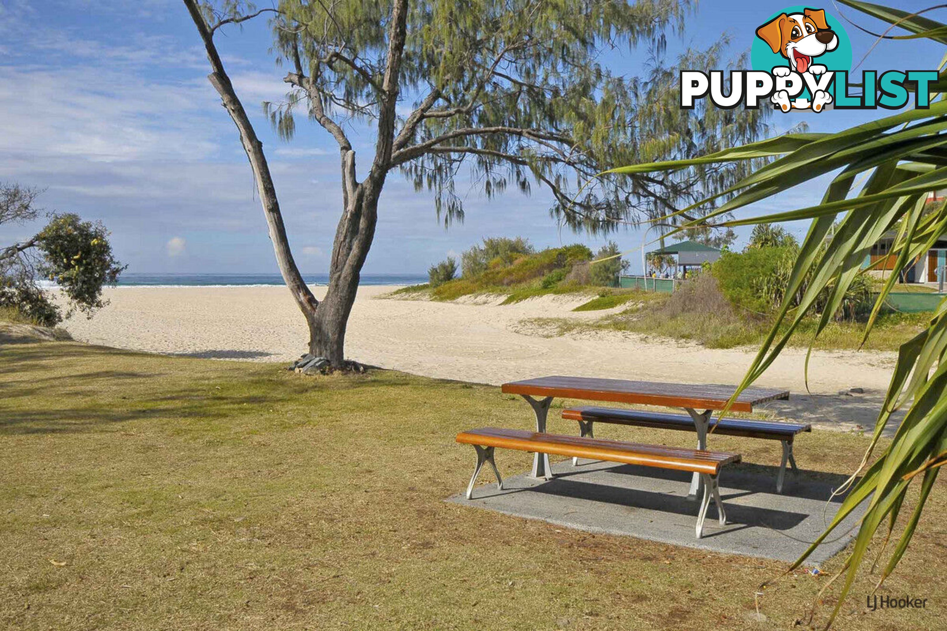 8/31 Teemangum Street CURRUMBIN QLD 4223