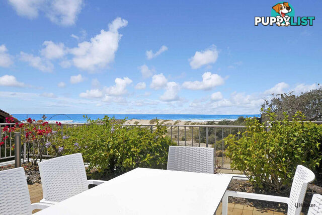 8/31 Teemangum Street CURRUMBIN QLD 4223