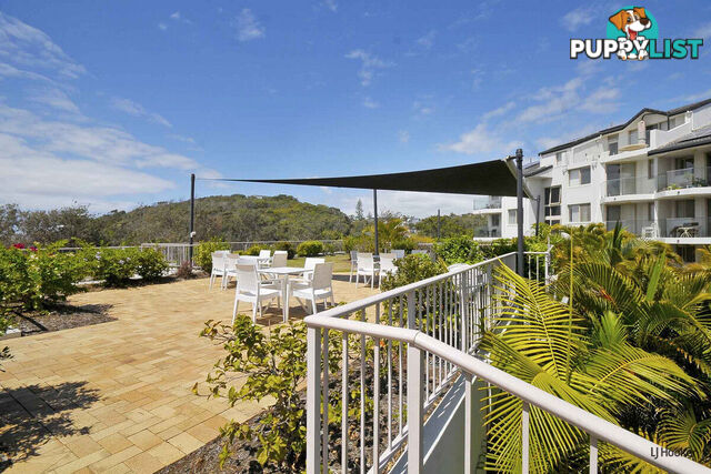 8/31 Teemangum Street CURRUMBIN QLD 4223