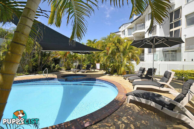 8/31 Teemangum Street CURRUMBIN QLD 4223