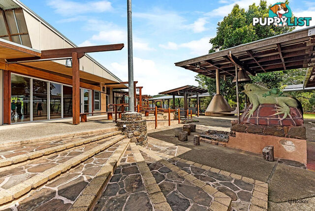 6 Yagoi Place CURRUMBIN VALLEY QLD 4223