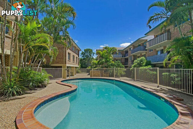 6/1 Rolan Court PALM BEACH QLD 4221