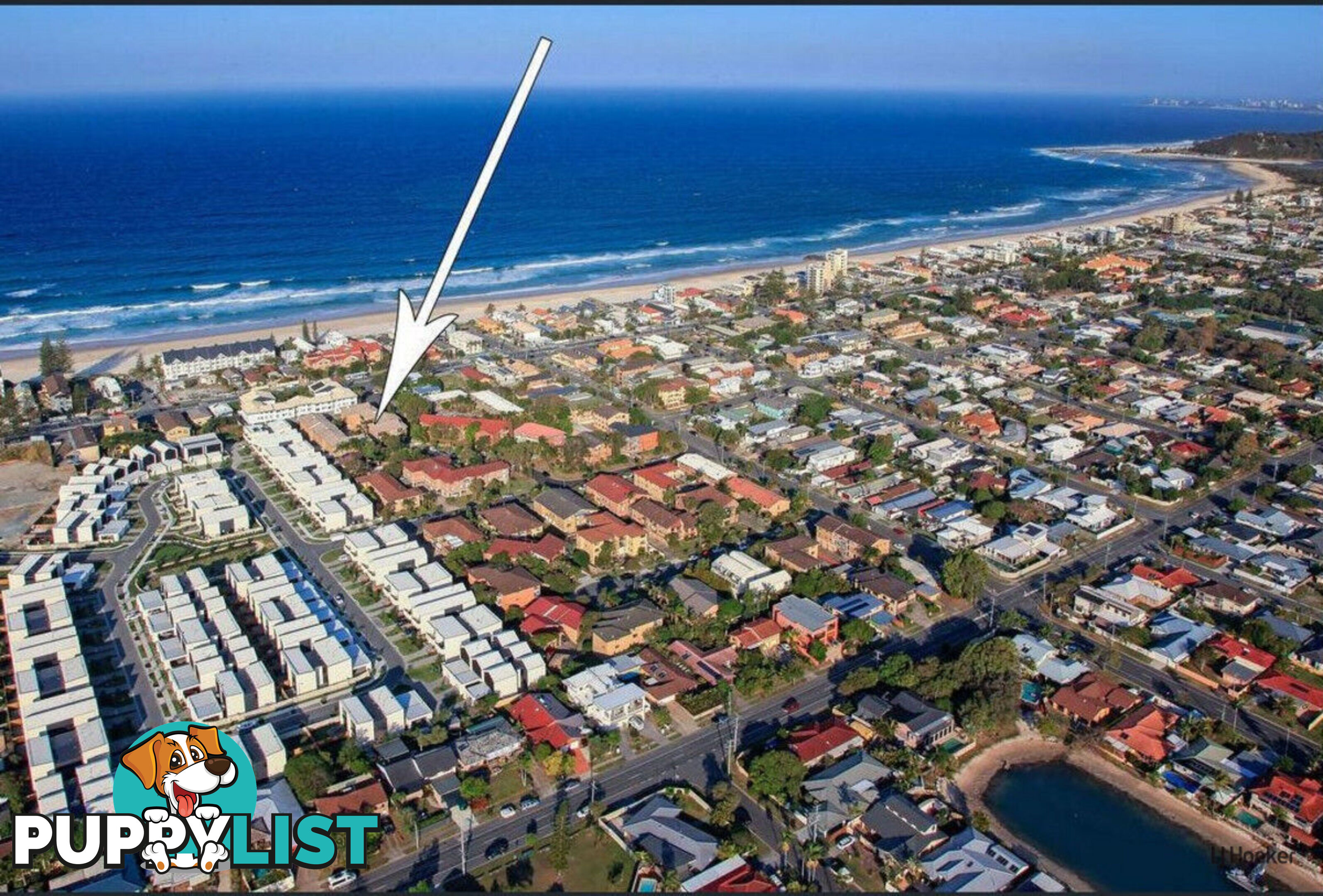 6/1 Rolan Court PALM BEACH QLD 4221