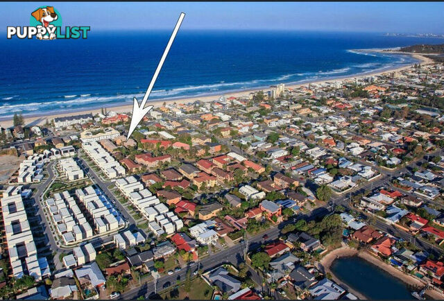 6/1 Rolan Court PALM BEACH QLD 4221