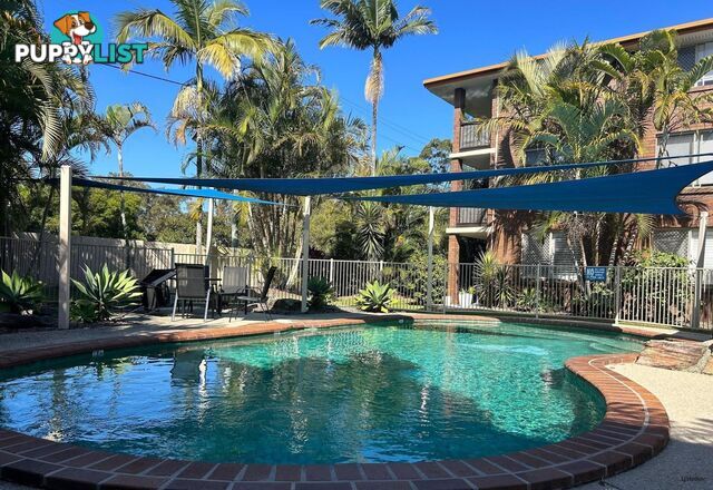 4/66 Sarawak Avenue PALM BEACH QLD 4221