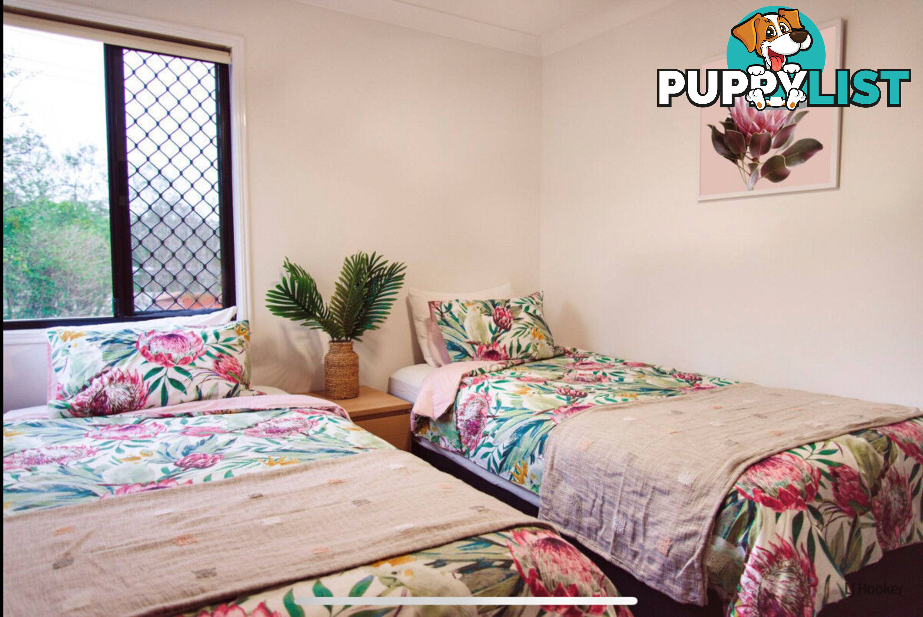 2/21 Laguna Avenue PALM BEACH QLD 4221