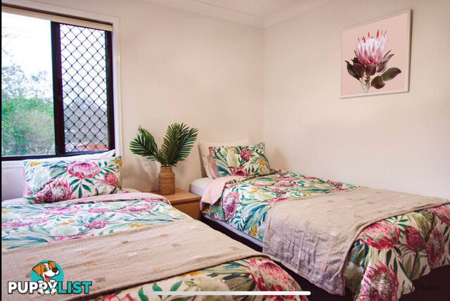 2/21 Laguna Avenue PALM BEACH QLD 4221