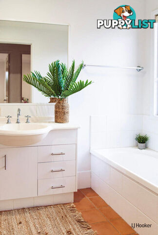 2/21 Laguna Avenue PALM BEACH QLD 4221