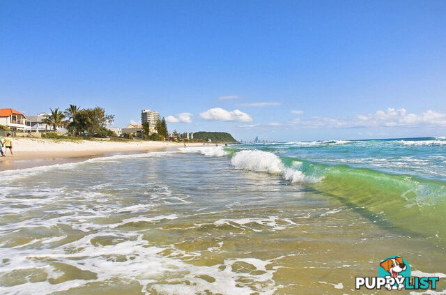5/1187 Gold Coast Highway PALM BEACH QLD 4221