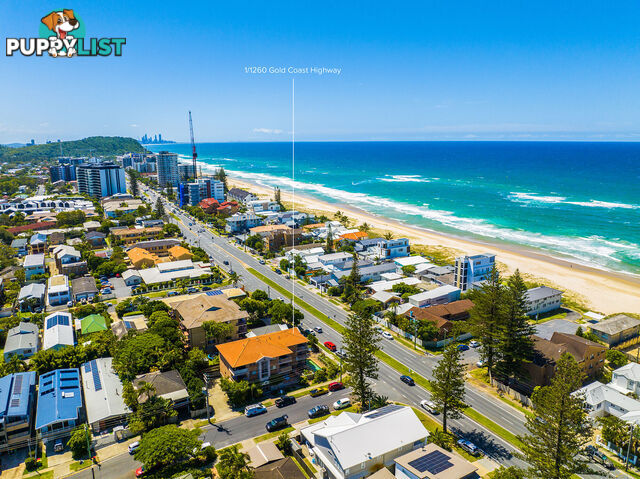 1/1260 Gold Coast Highway PALM BEACH QLD 4221