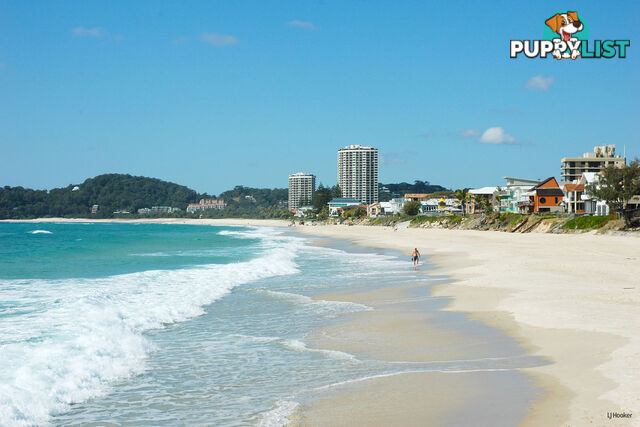 10/1040 Gold Coast Highway PALM BEACH QLD 4221