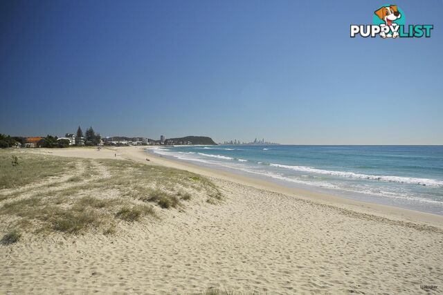 88/955 Gold Coast Highway PALM BEACH QLD 4221