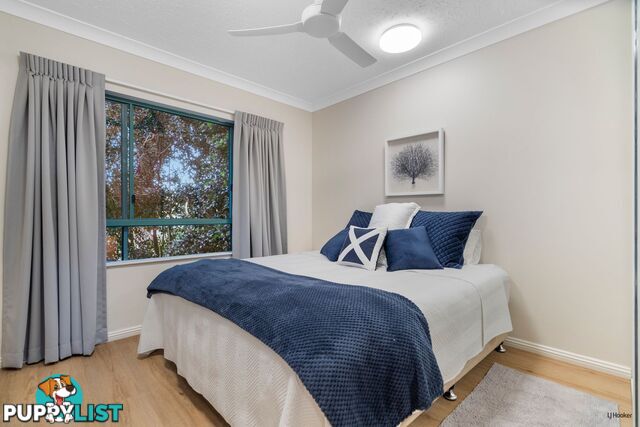 88/955 Gold Coast Highway PALM BEACH QLD 4221
