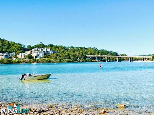 88/955 Gold Coast Highway PALM BEACH QLD 4221