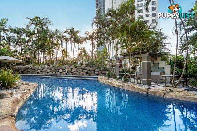 88/955 Gold Coast Highway PALM BEACH QLD 4221