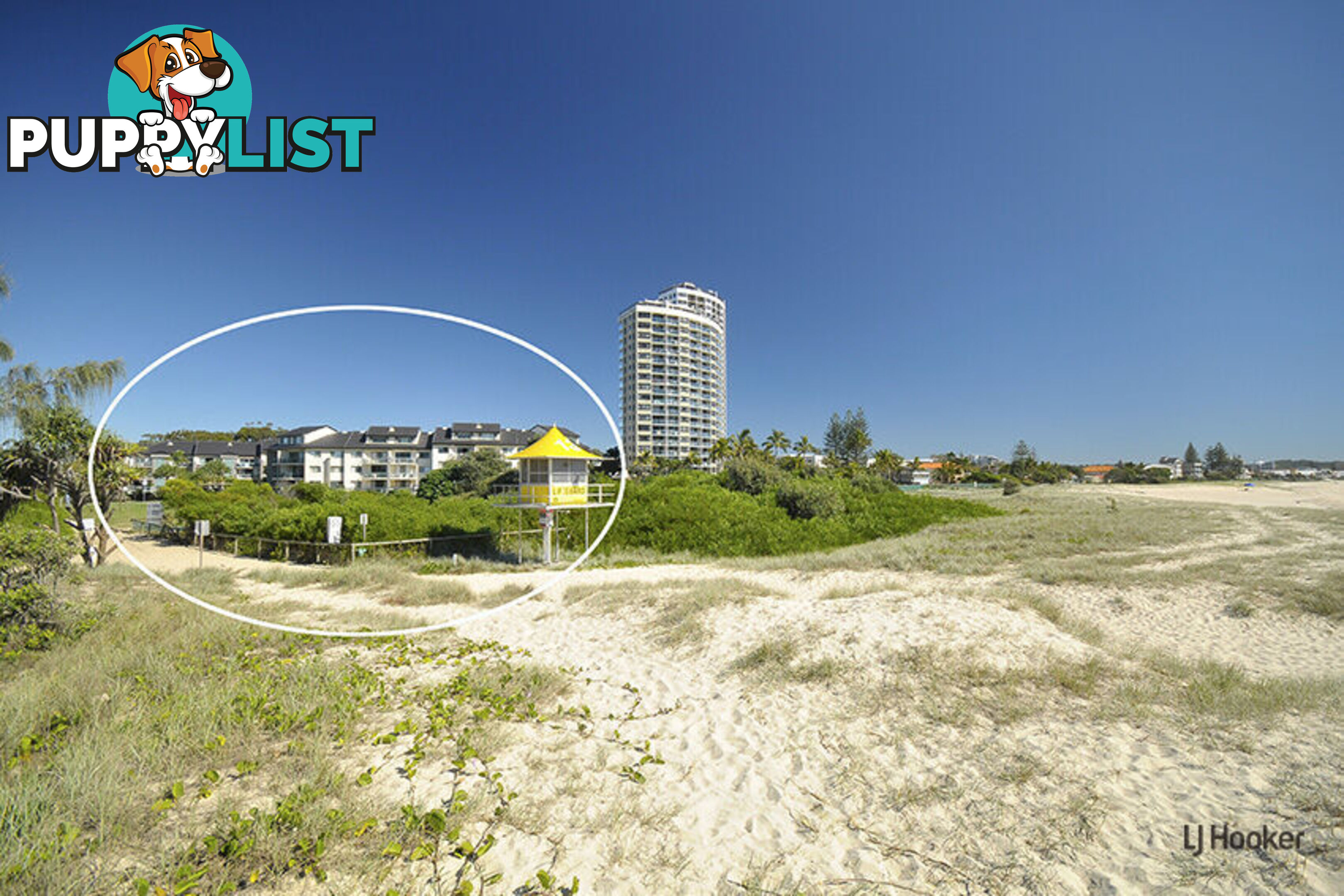 88/955 Gold Coast Highway PALM BEACH QLD 4221