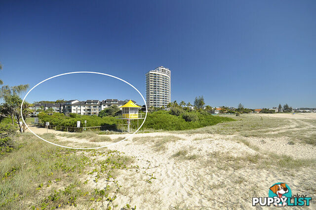 88/955 Gold Coast Highway PALM BEACH QLD 4221