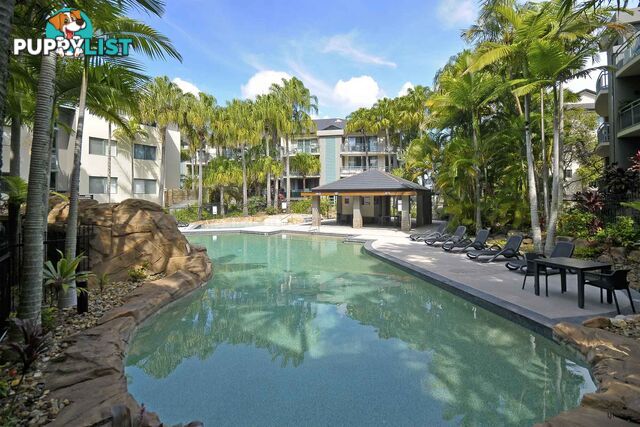 88/955 Gold Coast Highway PALM BEACH QLD 4221