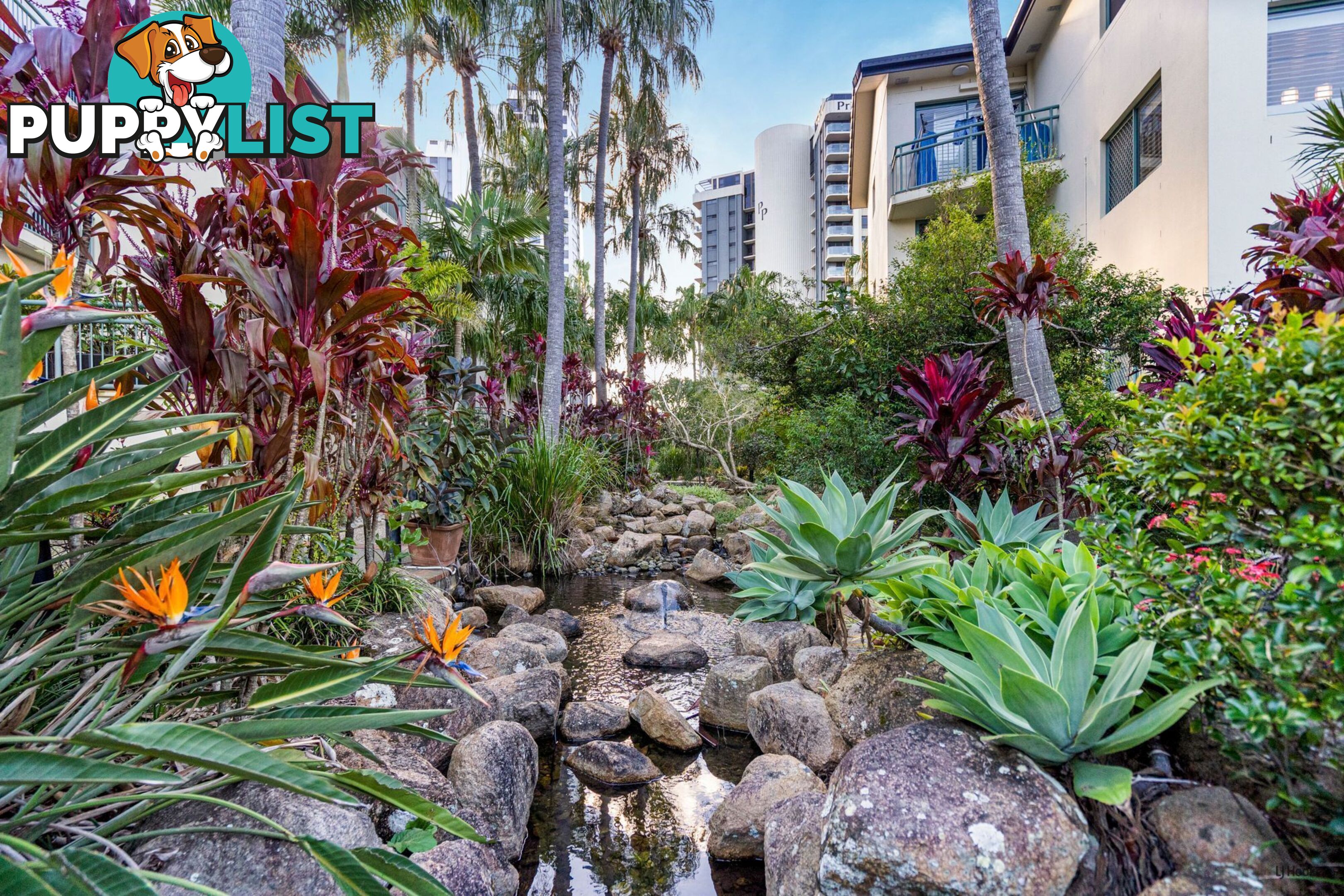 88/955 Gold Coast Highway PALM BEACH QLD 4221