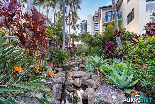 88/955 Gold Coast Highway PALM BEACH QLD 4221