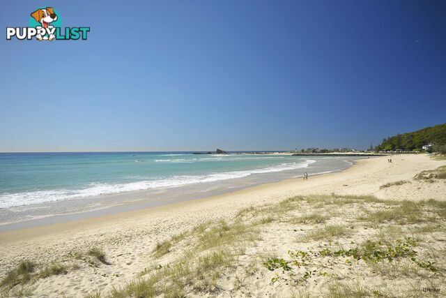 88/955 Gold Coast Highway PALM BEACH QLD 4221