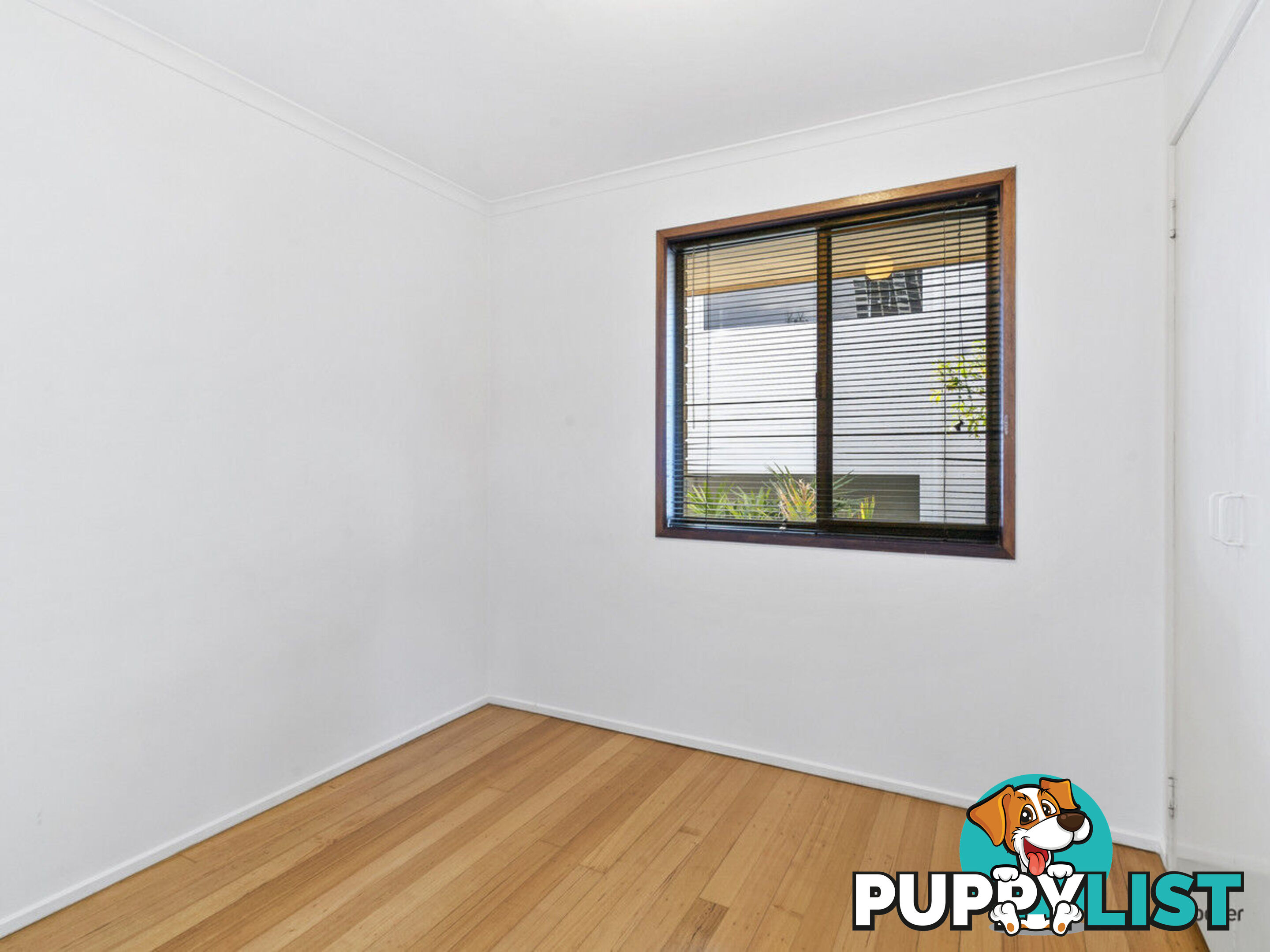 1/34 Jefferson Lane PALM BEACH QLD 4221
