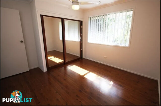 15 Bloodwood Crescent MOLENDINAR QLD 4214