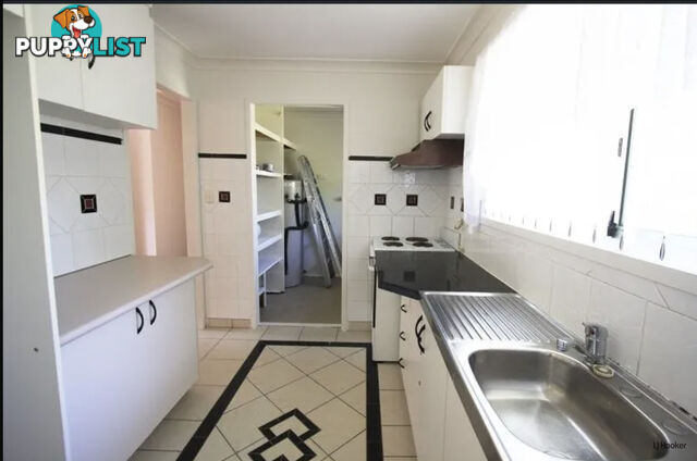 15 Bloodwood Crescent MOLENDINAR QLD 4214