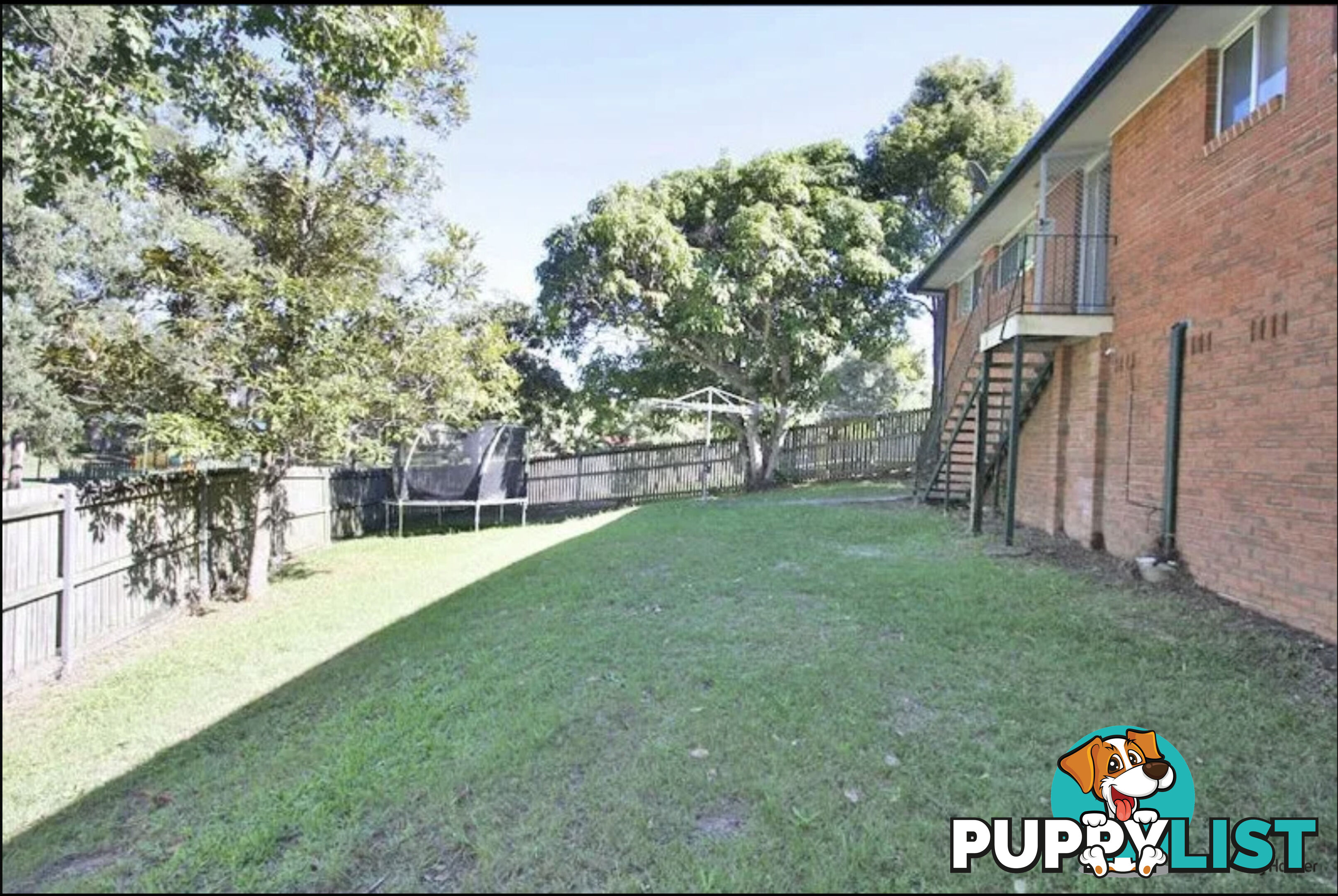 15 Bloodwood Crescent MOLENDINAR QLD 4214
