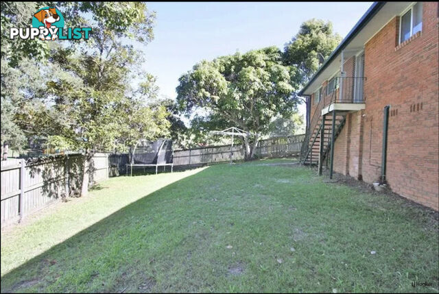 15 Bloodwood Crescent MOLENDINAR QLD 4214