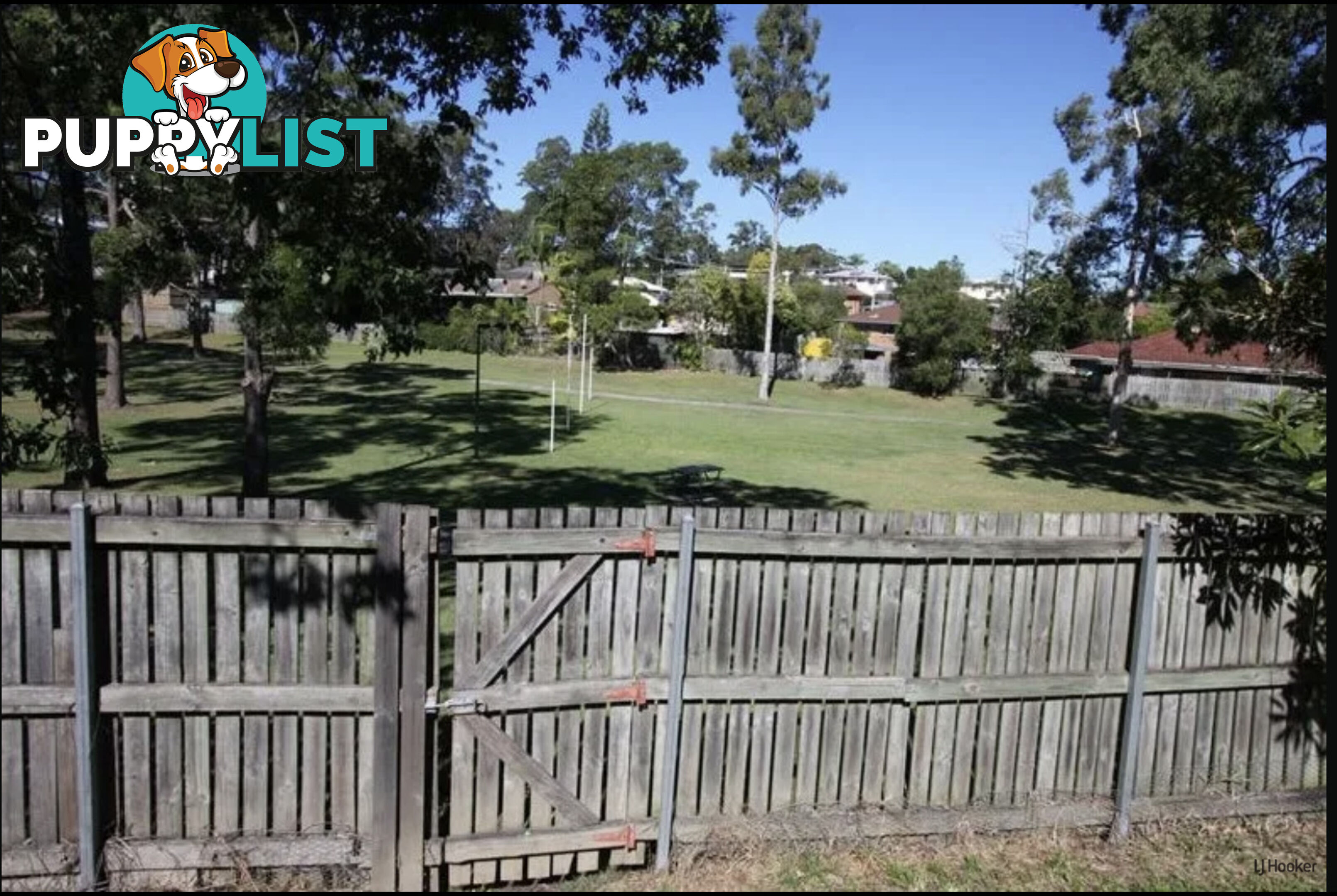 15 Bloodwood Crescent MOLENDINAR QLD 4214