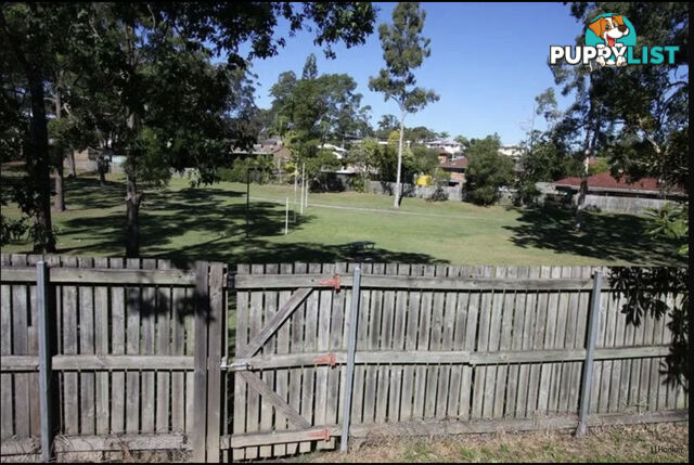 15 Bloodwood Crescent MOLENDINAR QLD 4214