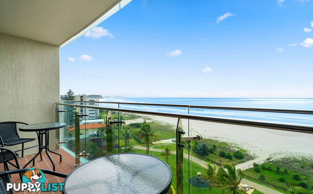 9c/969 Gold Coast Highway PALM BEACH QLD 4221