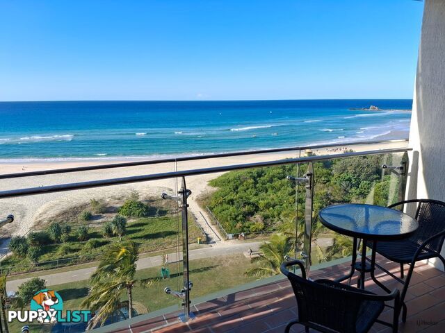 9c/969 Gold Coast Highway PALM BEACH QLD 4221