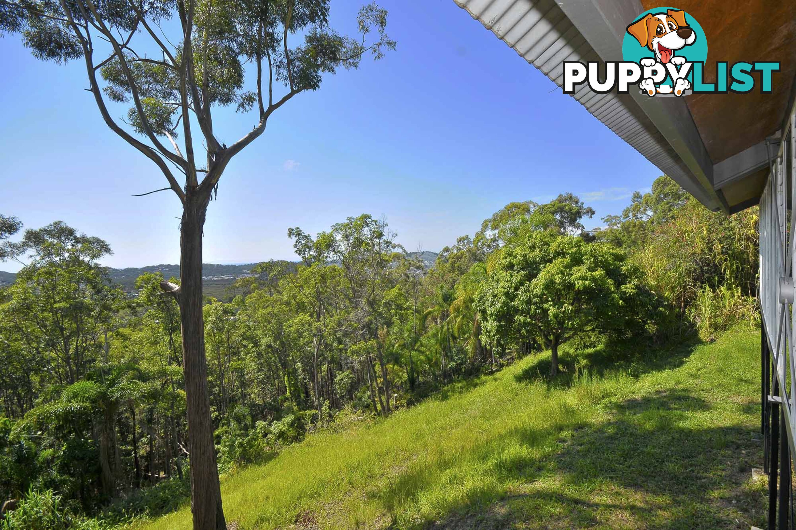 92 Simpsons Road CURRUMBIN WATERS QLD 4223