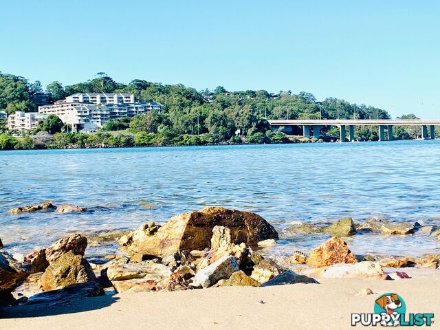 68 Ware Drive CURRUMBIN WATERS QLD 4223