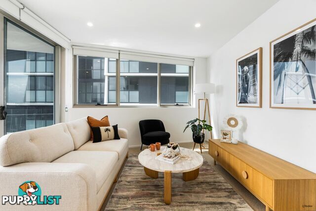 51 Peerless Avenue MERMAID BEACH QLD 4218