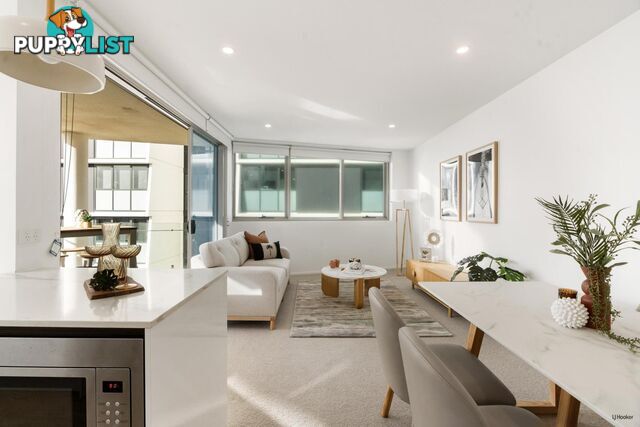 51 Peerless Avenue MERMAID BEACH QLD 4218