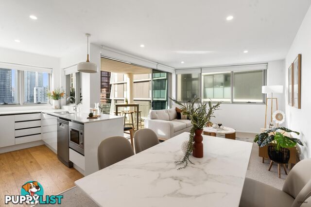 51 Peerless Avenue MERMAID BEACH QLD 4218