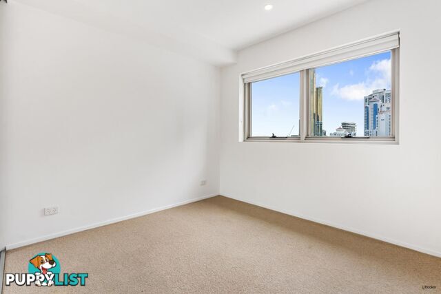 51 Peerless Avenue MERMAID BEACH QLD 4218