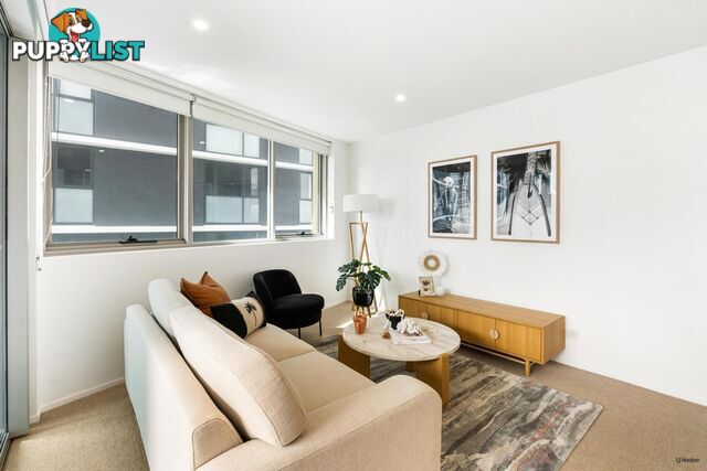 51 Peerless Avenue MERMAID BEACH QLD 4218