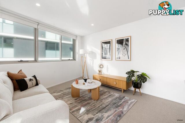 51 Peerless Avenue MERMAID BEACH QLD 4218