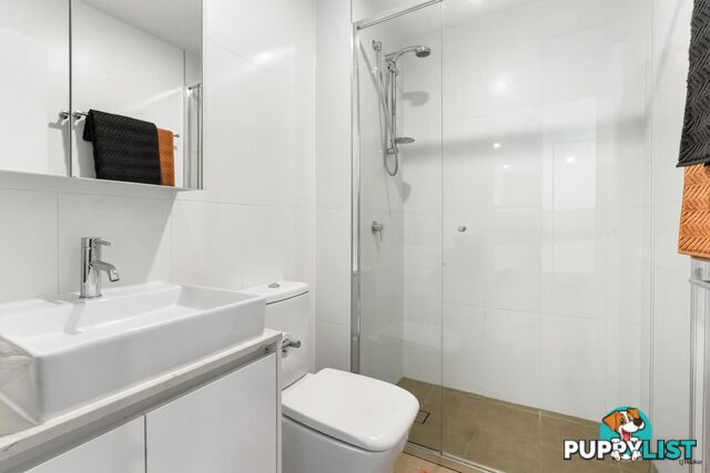 51 Peerless Avenue MERMAID BEACH QLD 4218