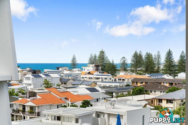 51 Peerless Avenue MERMAID BEACH QLD 4218