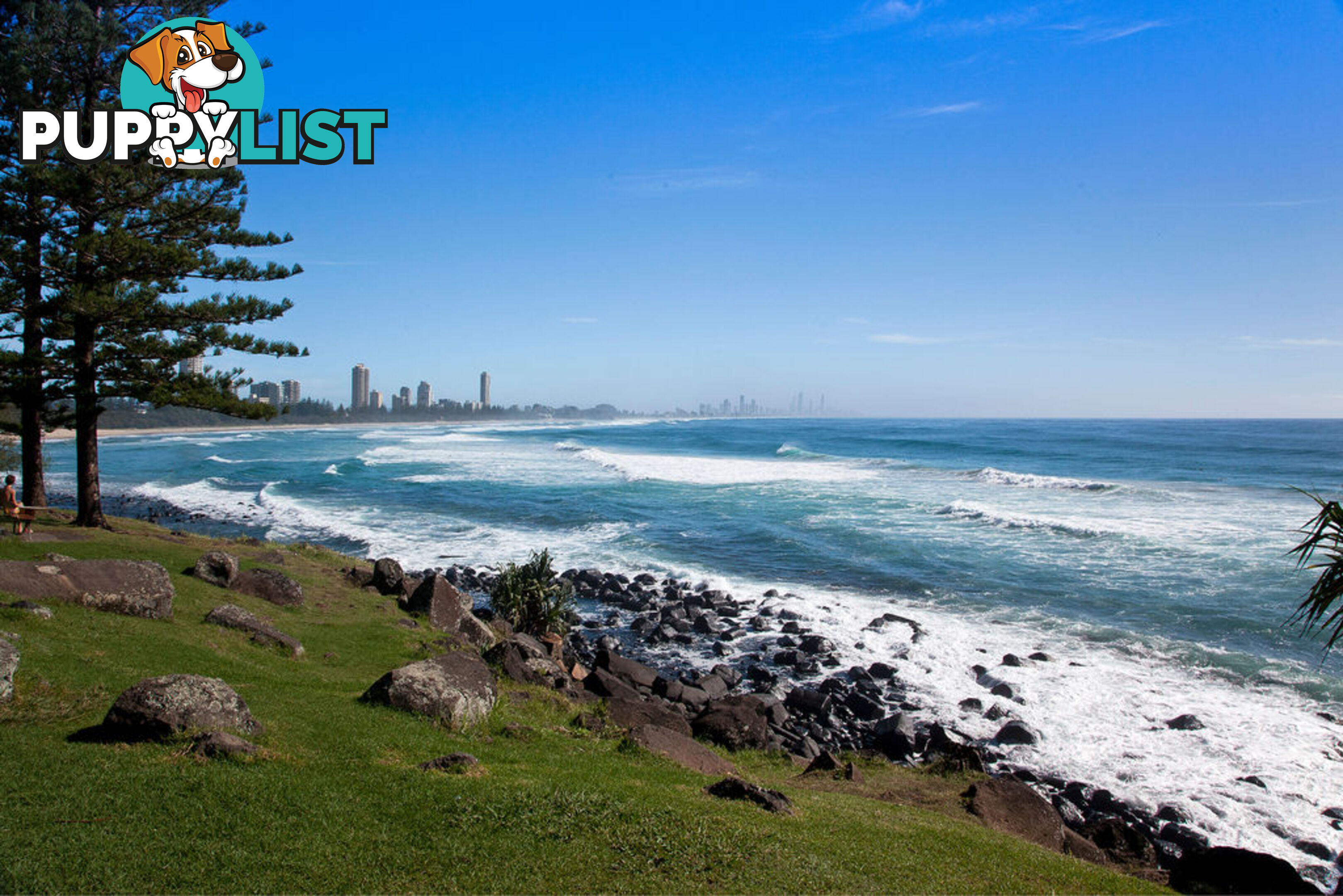 11 Seville Circuit BURLEIGH WATERS QLD 4220